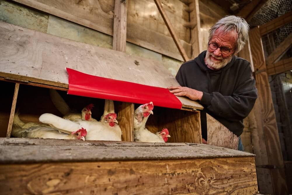 Eko-boerderij de Eerste 4