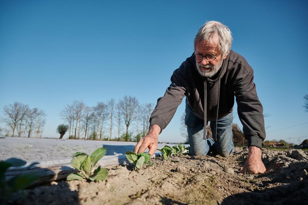 Eko-boerderij de Eerste